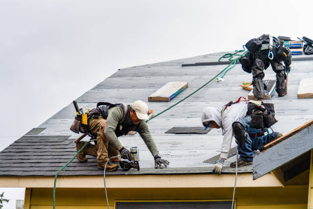 Professional Gutter Installation technician working in Talmage, NE